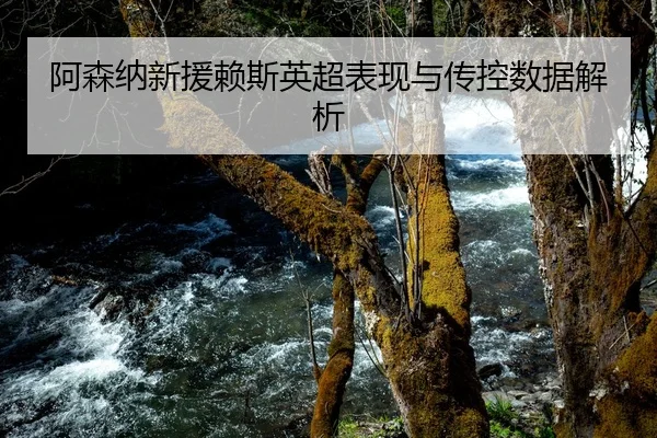 阿森纳新援赖斯英超表现与传控数据解析